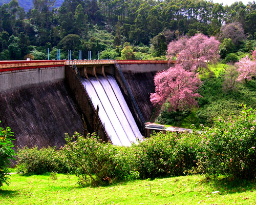 best way to reach munnar from cochin