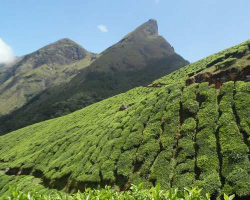 life at munnar